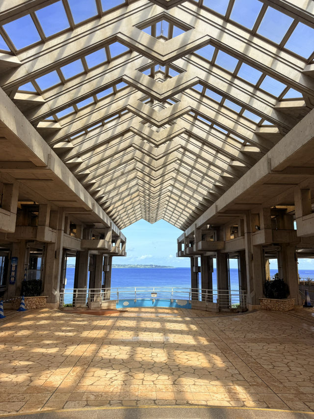 沖繩｜再遠都值得跑一趟 美麗海水族館的黑潮之美