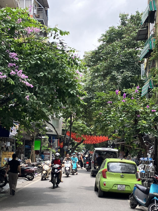 ハノイ旧市街のんびりお散歩🚶‍♀️