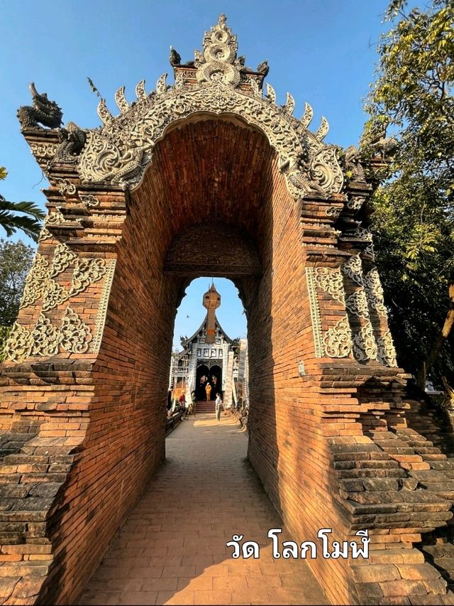 รวมพิกัดที่เที่ยวที่กินในเชียงใหม่