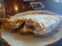 🚢 魚の駅生地 できたて館 航海灯 – Fresh Seafood Right by the Port