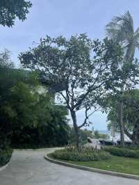 ที่พัก Pet friendly ที่ระยอง ใกล้หาดวิวสวย