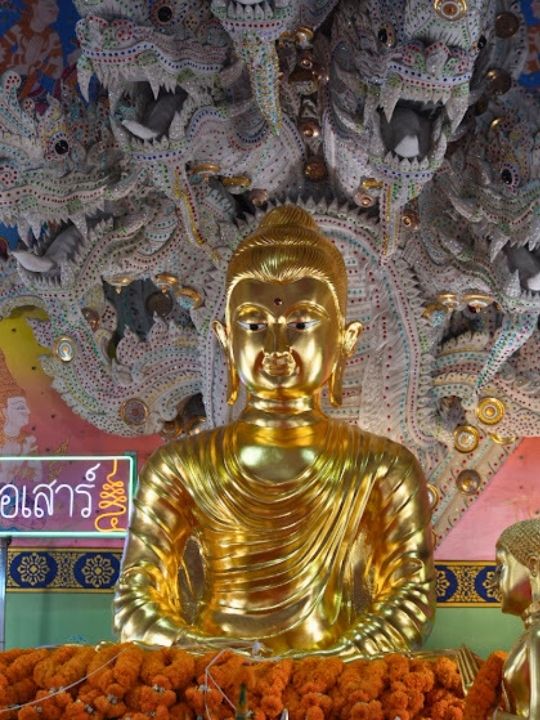 🤩 วัดธรรมปัญญา หลวงพ่อเสาร์ห้า