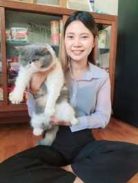 Catster by Kingdomoftigers พระประแดง