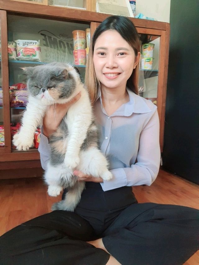Catster by Kingdomoftigers พระประแดง