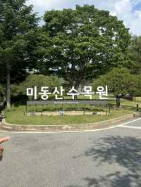 🌿 사계절 숲속 산책, 청주의 힐링 명소 – 미동산수목원