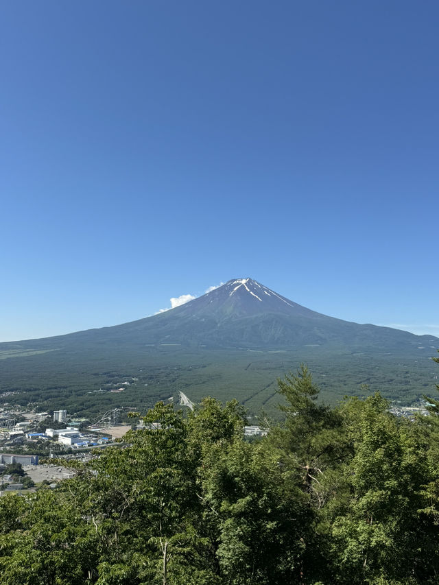 🗻🌸 2D1N Mount Fuji | Chill Escape to Kawaguchiko