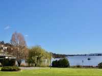 Strolling Through Storybook Greens: Summer Walks at Kings Park