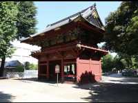 Half-Day Trip to Nezu Shrine & Yanaka Ginza from Tokyo! 🚶‍♀️⛩️