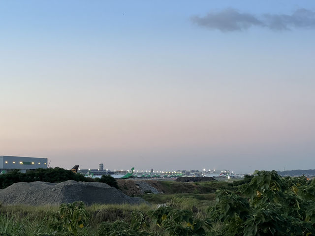 第三航廈賞飛機 桃園大園景點