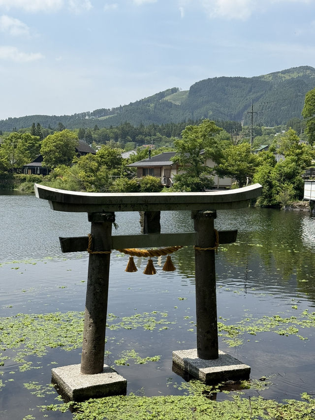 Day two in YUFUIN 