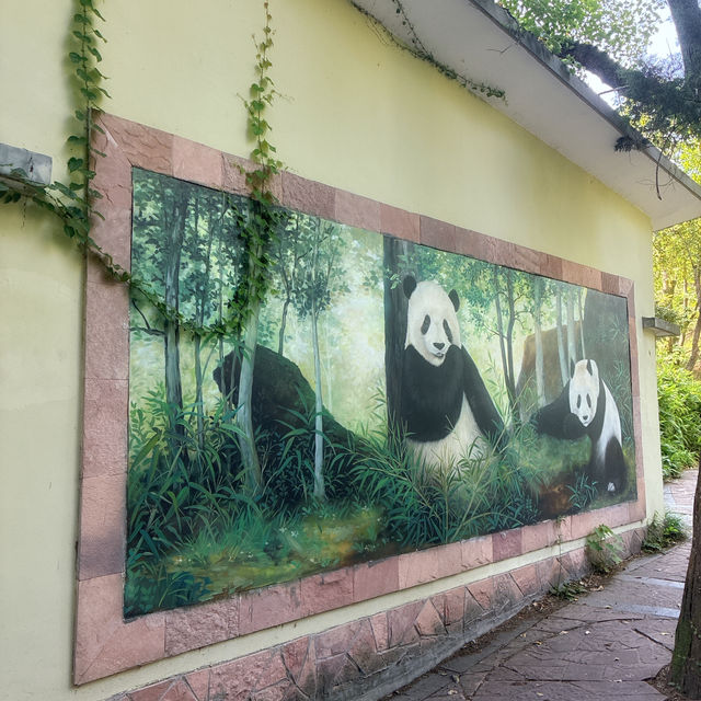 上海動物園🐼パンダグッズいっぱい 上海動物園🐼パンダグッズいっぱい