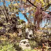 🌿 Secret Kyoto Escape: Sekiho-ji Temple – Fushimi Inari’s Quiet Neighbor