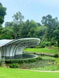 Discovering the Botanic Gardens Singapore