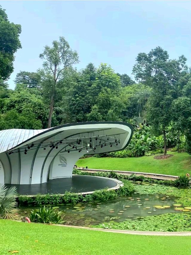 Discovering the Botanic Gardens Singapore