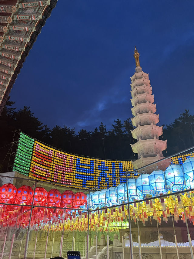 빛으로 물든 밤, 부산 삼광사 등불축제 후기
