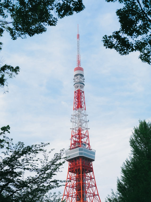  Tokyo Tower หอคอยสีแดงสุด iconic ของญี่ปุ่น 🗼❤️