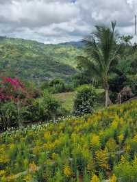 Sirao Garden