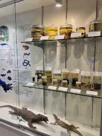 Princess Maha Chakri Sirindhorn Natural History Museum