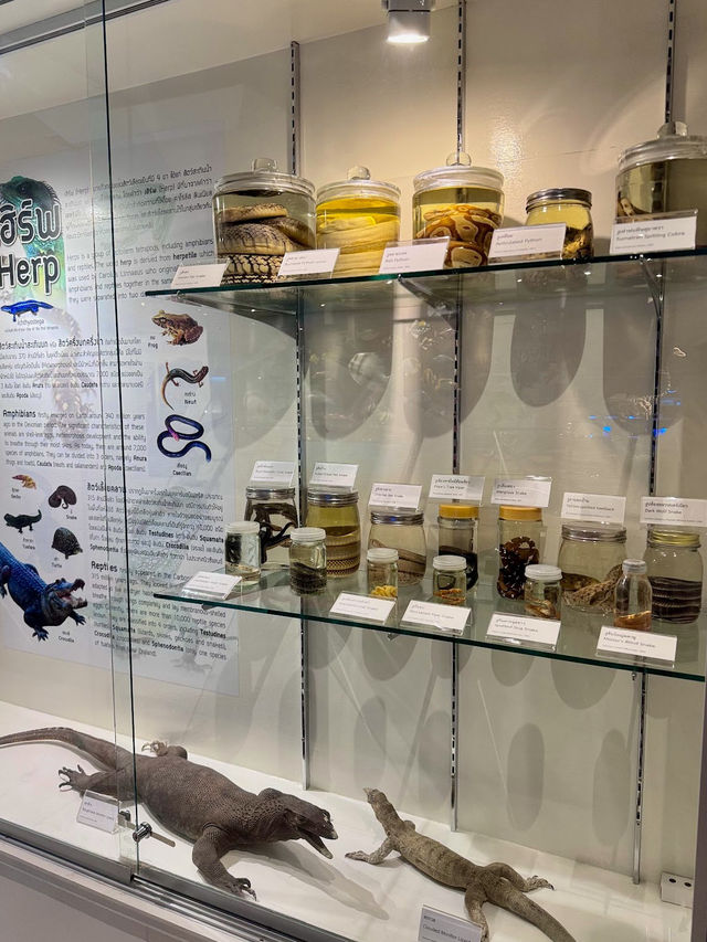 Princess Maha Chakri Sirindhorn Natural History Museum
