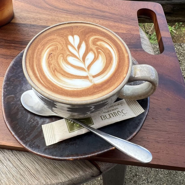 MiYo Cafe เชียงราย — คาเฟ่กลางดอย วิวโคตรดี