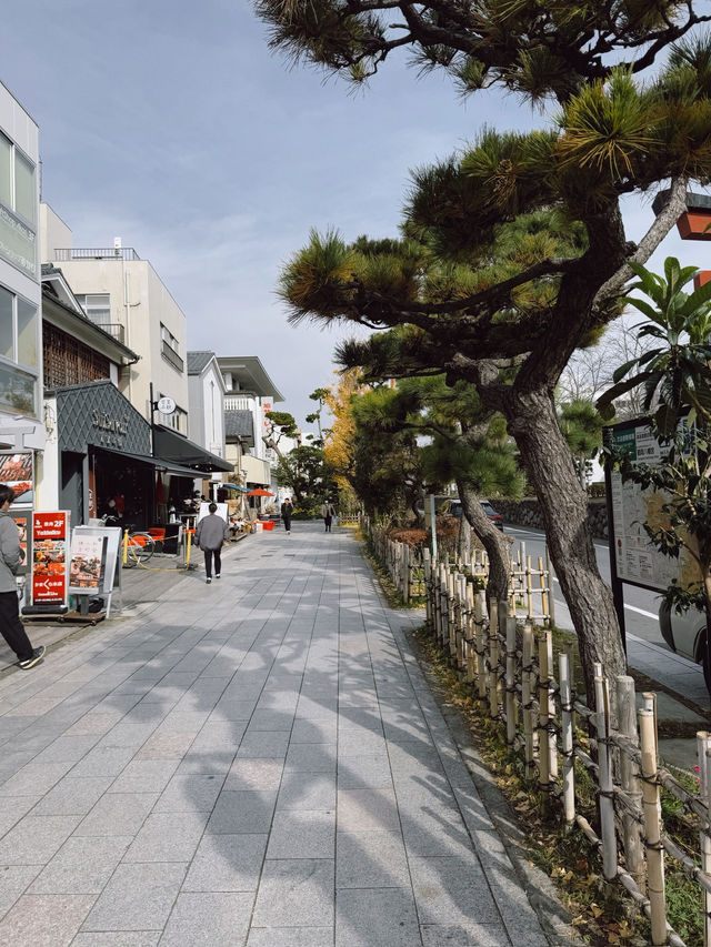 🌿🚃 One Day Trip – Kamakura