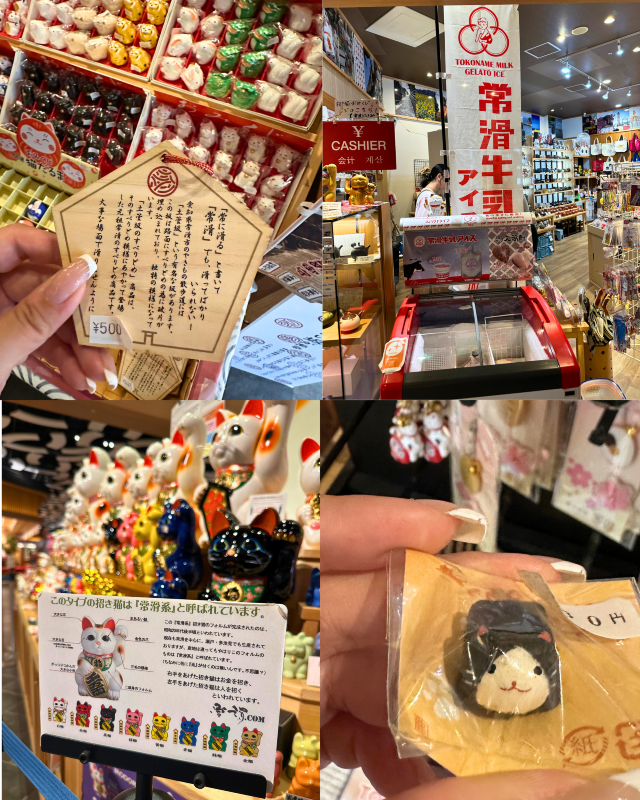 [Japan 🇯🇵] Aeon Tokoname: More Than Just Shopping & a Big Cat Friend!
