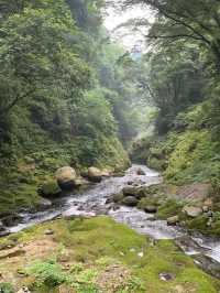 【宮崎】神話の渓谷🌿高千穂峡で心洗われる絶景旅
