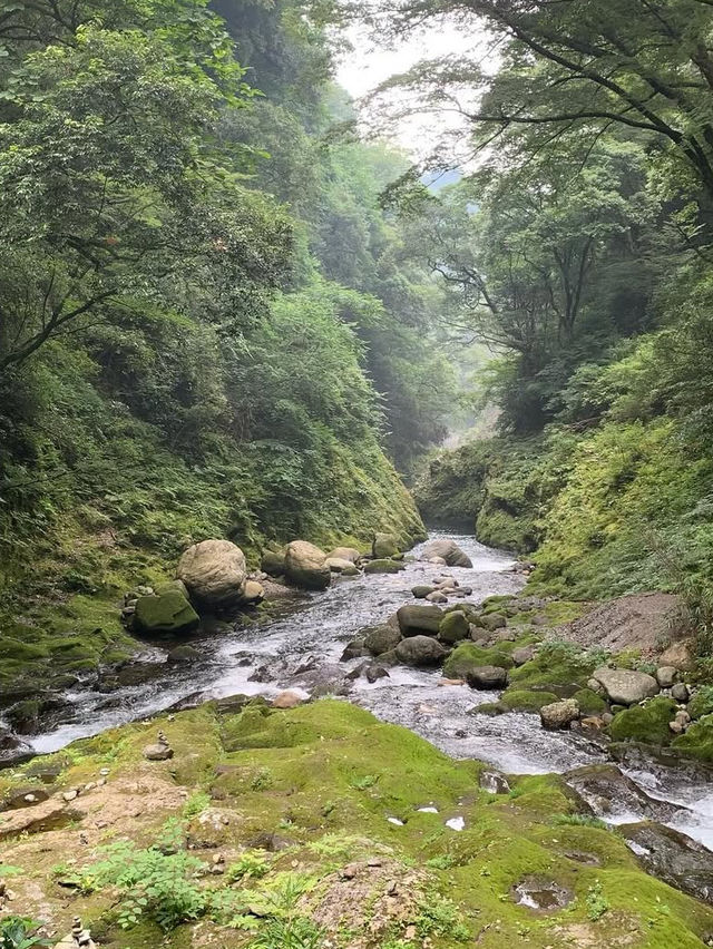 【宮崎】神話の渓谷🌿高千穂峡で心洗われる絶景旅