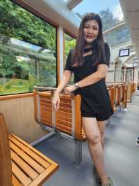 Sky Terrace 428 – จุดชมวิวฮ่องกงสุดชิค มุมมหาชน