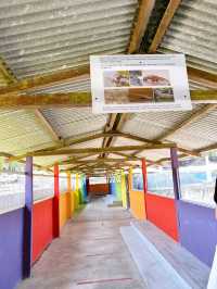 Croc Spotting at Teluk Sengat Crocodile Farm