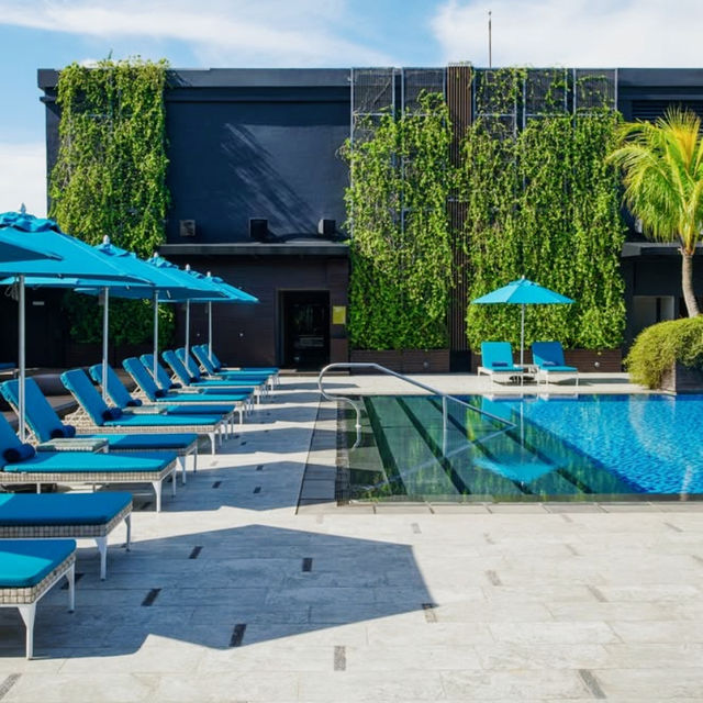 Elevated Comfort and Worldly Refinement