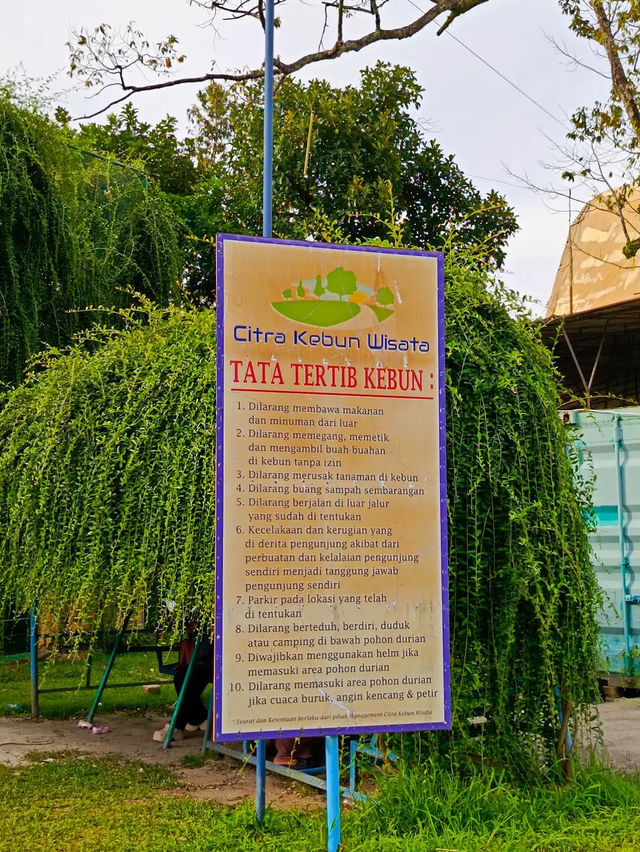 Durian, Deer, and Daylight, Only at Citra Kebun Wisata