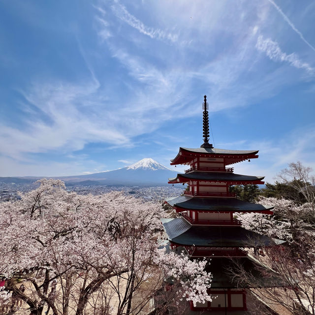 新倉山浅間公園 | 富士山賞櫻絕景聖地 🌸⛰️