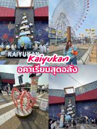 Kaiyukan Osaka – พิพิธภัณฑ์สัตว์น้ำสุดอลัง