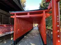 Inuyama: A Historical Gem in Japan! 🏯🌸