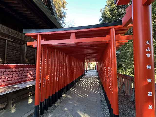Inuyama: A Historical Gem in Japan! 🏯🌸