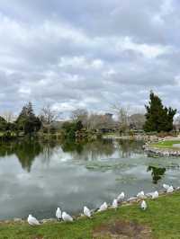 🏞 Rotorua Kuirau Park – 自然沸湯中的城市綠洲