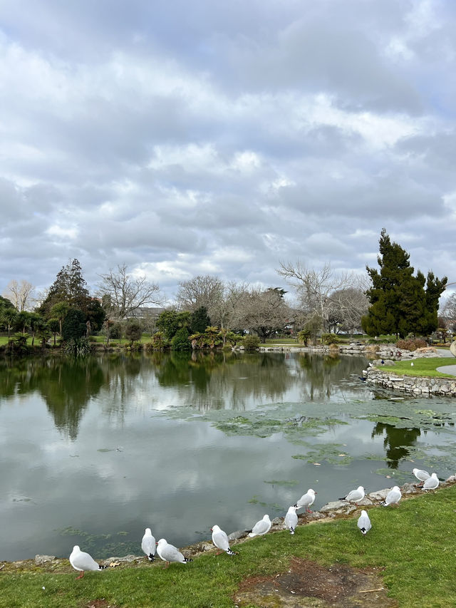 🏞 Rotorua Kuirau Park – 自然沸湯中的城市綠洲