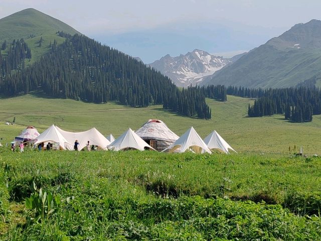 Nalati Scenic Area：Harmonious Grassland Scenery