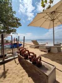 🔥 Beach Body, Bali Style: My Sweaty Love Affair with the Wooden Gym by Nusa Dua 🌴