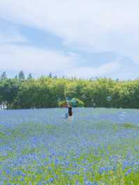 (실시간) 파란 물결 시작된 아그로랜드🌿💙