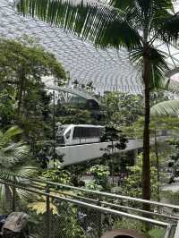 ✅แลนมาร์คสิงคโปร์ Jewel changi airport ✈️