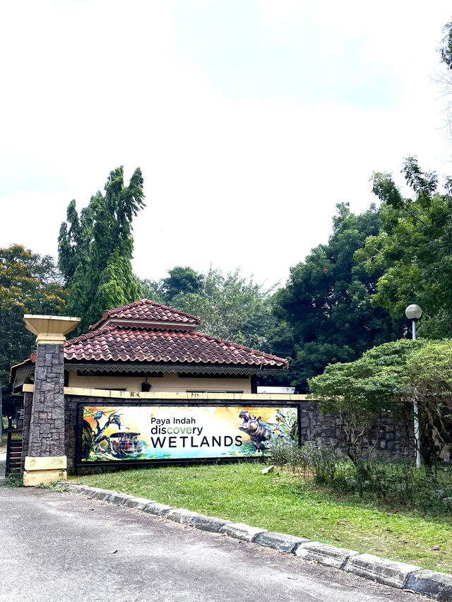 Close Encounter with Giants at Paya Indah Wetlands