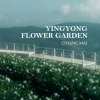 Yingyong flower garden