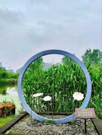 Baima Lake Park – Hangzhou’s Lakeside Oasis of Art & Nature