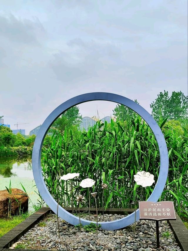 Baima Lake Park – Hangzhou’s Lakeside Oasis of Art & Nature
