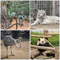 【中国/青島動物園】