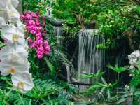 Baan Khanitha