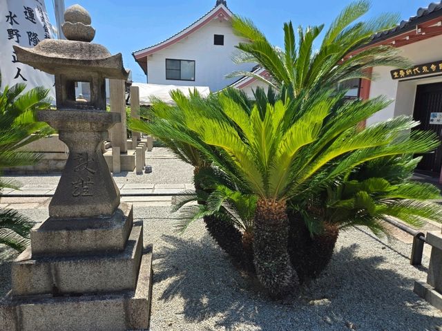【大阪】堺市　妙國寺(妙国寺)