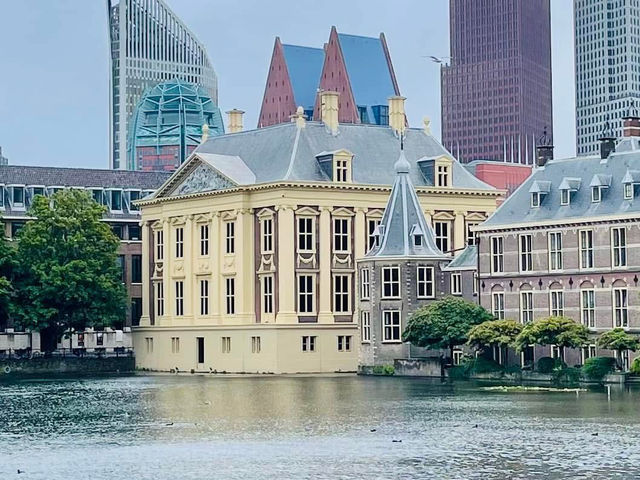 荷蘭鹿特丹景點 市場大廳 方塊屋 運河美景